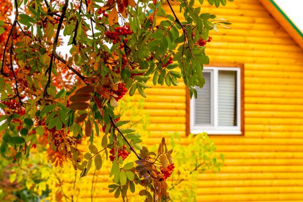 Cost of Garden Window Replacement in Fontana